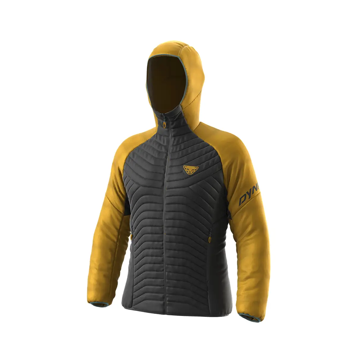 Telemark Pyrenees: Touring skis, backcountry skiing, telemark skis