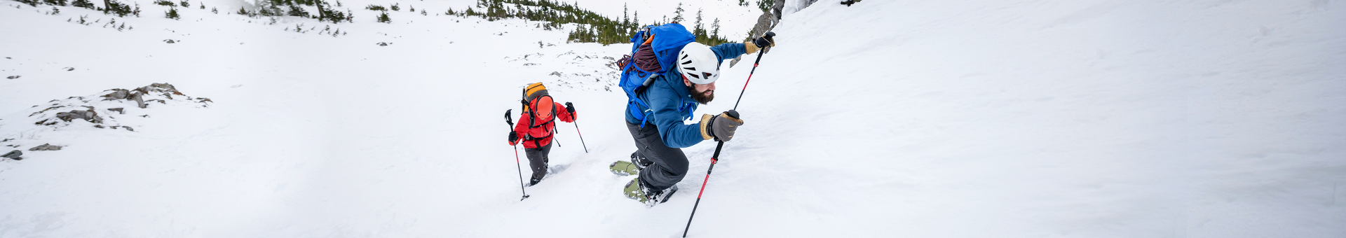 Snowshoes