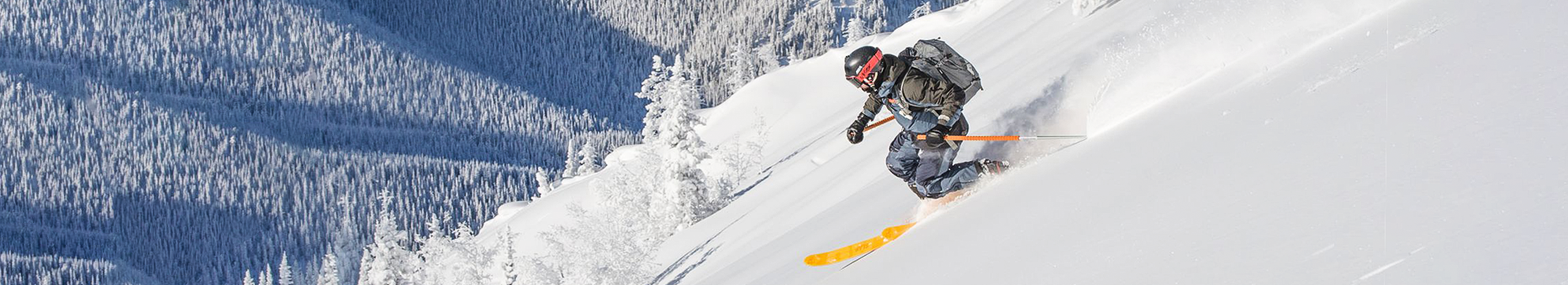 Telemark Ski & Binding Packages