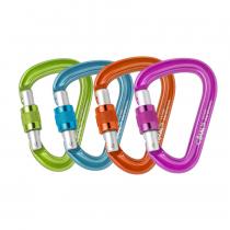 Beal Be Safe Carabiner