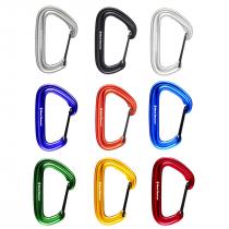 Black Diamond Litewire Carabiner