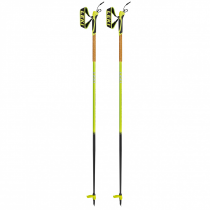 Leki Mezza Train Ski Poles