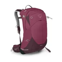 Osprey Sirrus 24 - Elderberry Purple/Chiru tan