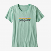 PATAGONIA PASTEL P6 LOGO ORGANIC CREW T-SHIRT WOMEN - GYPSUM GREEN