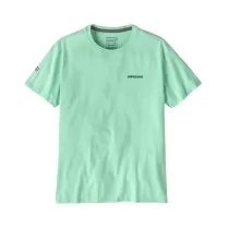 Patagonia Fitz Roy Icon Responsibili-Tee - Rinsed Green