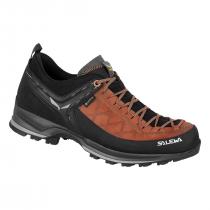 Salewa MTN Trainer 2 GTX