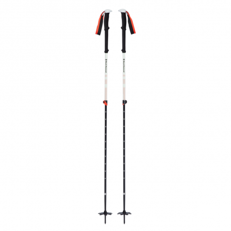 Black Diamond Expedition 2 Ski Poles