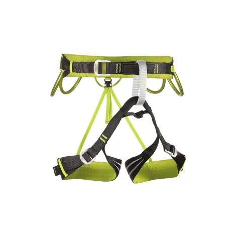 Camp Alpine Flash - Green