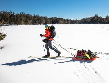 Fischer Nordic Touring 2022 Skis
