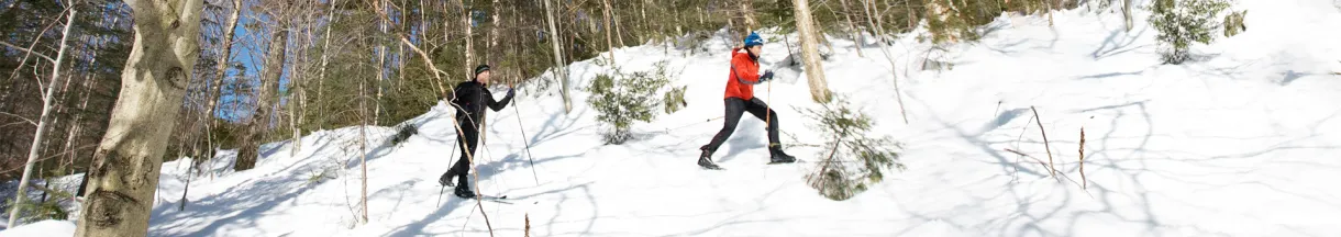 Nordic Touring