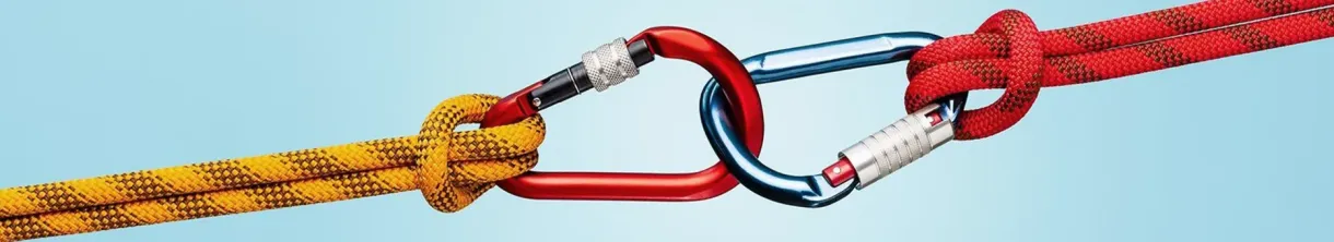 Locking Carabiners