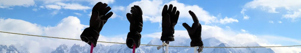 Ski gloves