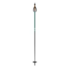 One Way BC Mountain Ski Poles