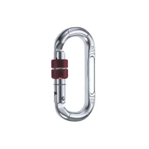 Camp-Oval-Compact-Bet-Lock.webp