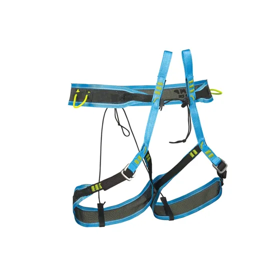 Camp%20ALP%20CR_2025.webp