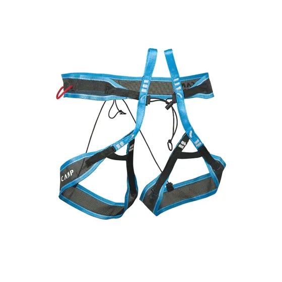 Camp%20ALP%20Race_2025.webp