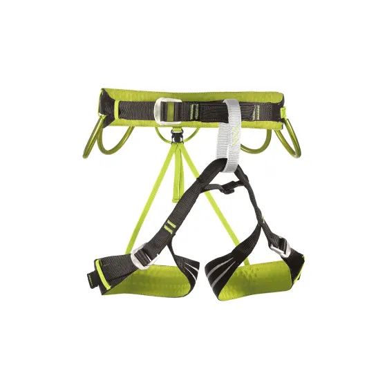Camp%20Alpine%20Flash_Green_2025.webp