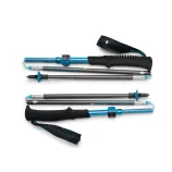 Black Diamond Distance Carbon FLZ Poles - Desert Sky