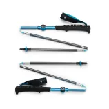 Black Diamond Distance Carbon FLZ Poles - Desert Sky