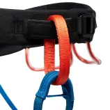 Black%20Diamond%20Momentum%20Harness%20-%20Kingfisher_20258_3.webp