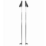 DYNAFIT%20DNA%20SKI%20POLES_2025.webp