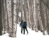 Panorama%20M68_2025_4_3_0.webp