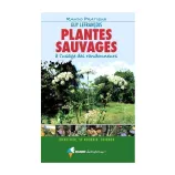 Plantes-Sauvages-A-Lusage-Des-Randonneurs_0.webp